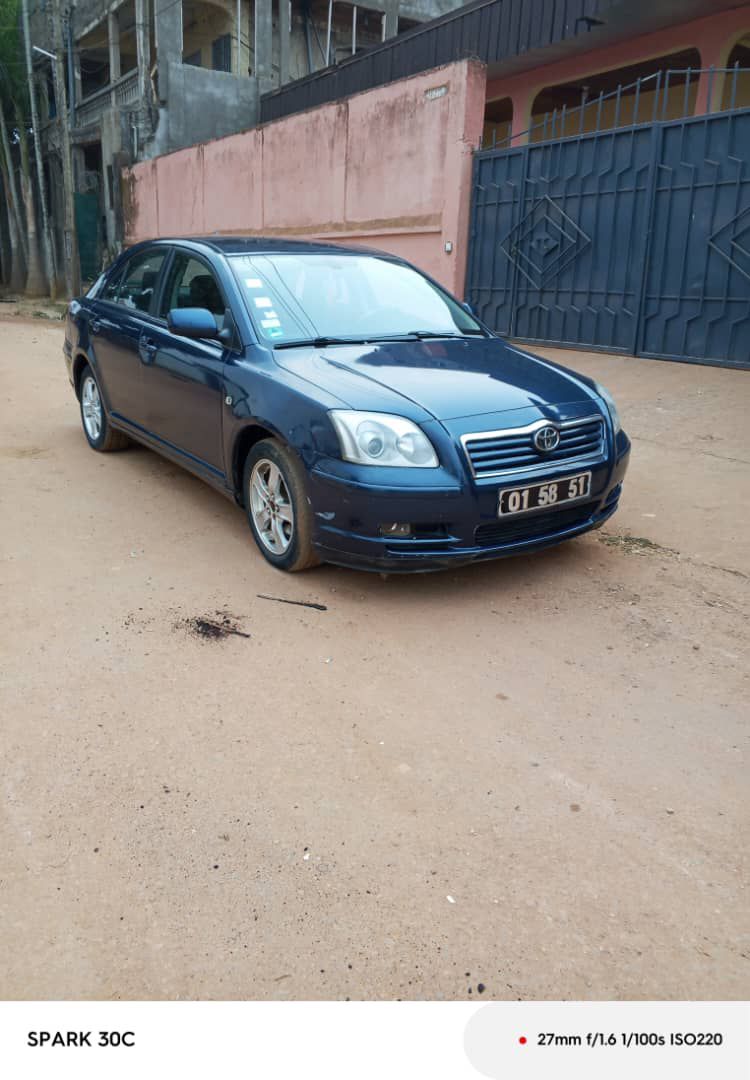 Toyota Avensis tête de cochon liftback 