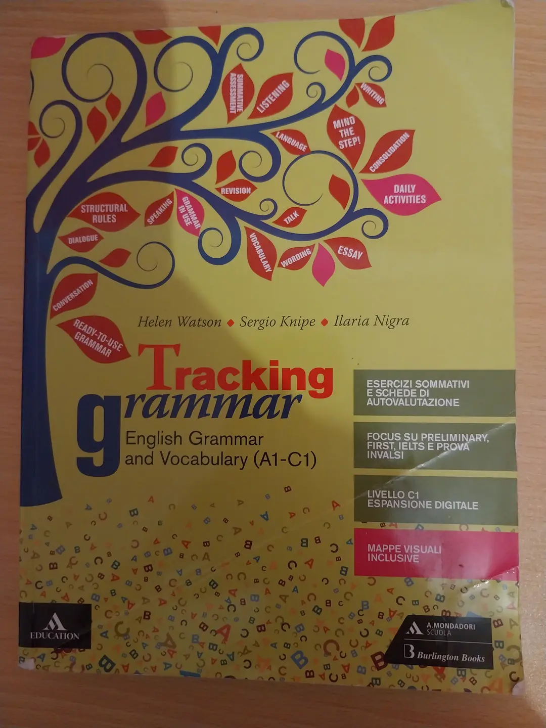Tracking Grammar(A1-C1)