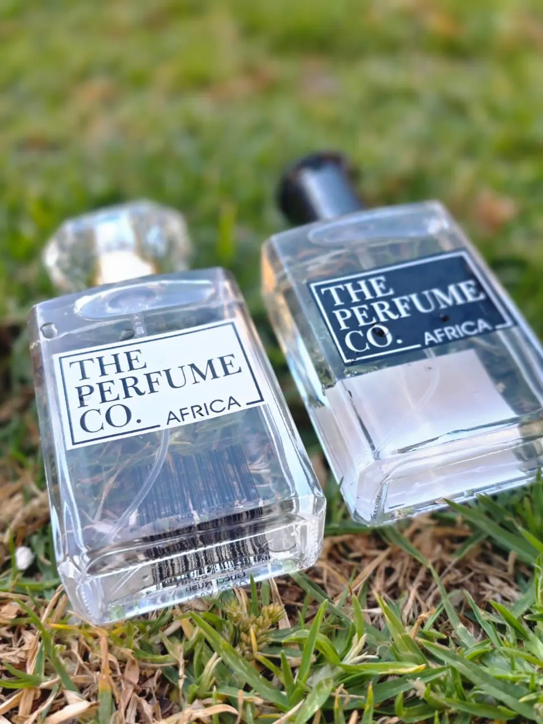 Perfume 