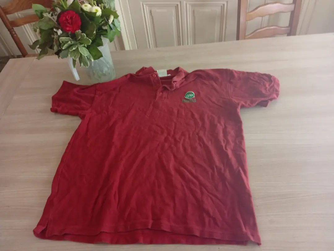 chemise polo
