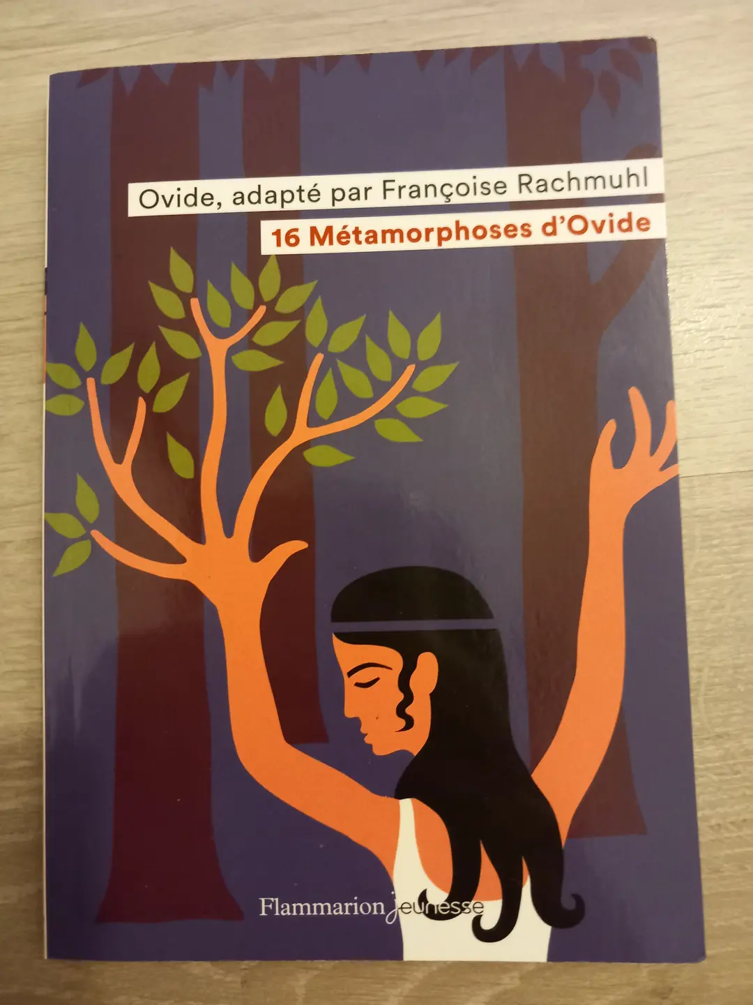Livre " les 16 métamorphoses d'Ovide "