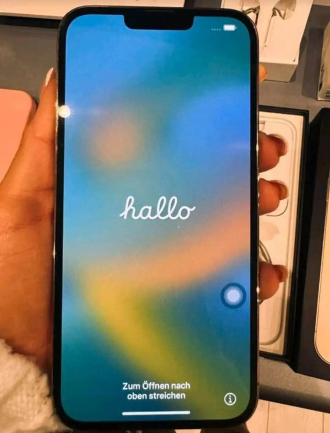 iPhone 13 pro max 256GB