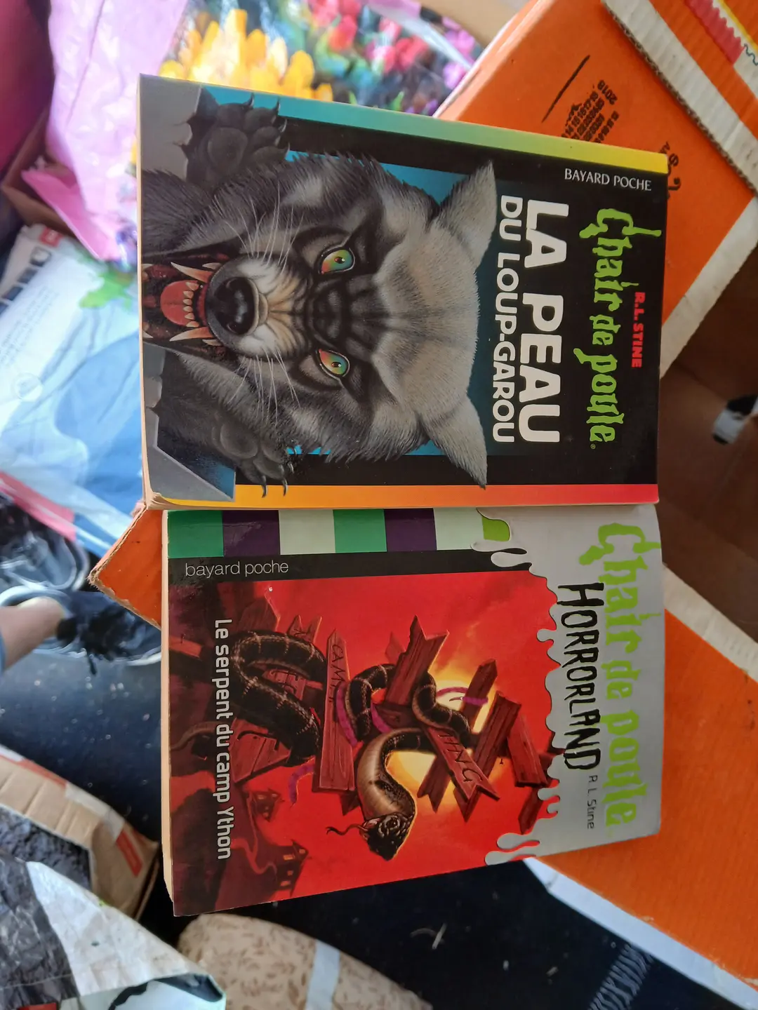 Livre chair de poule 