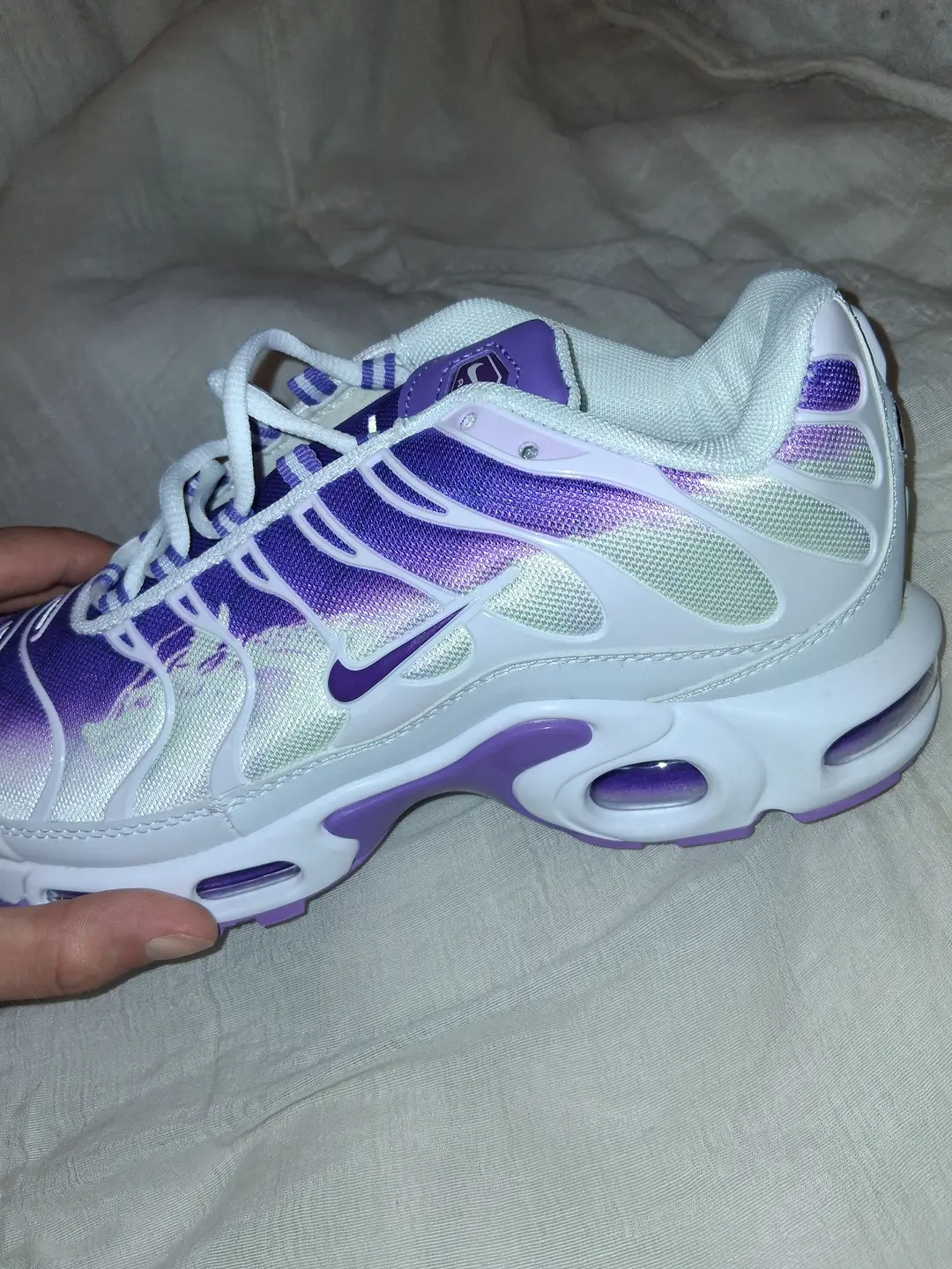 TN Dragon Violette