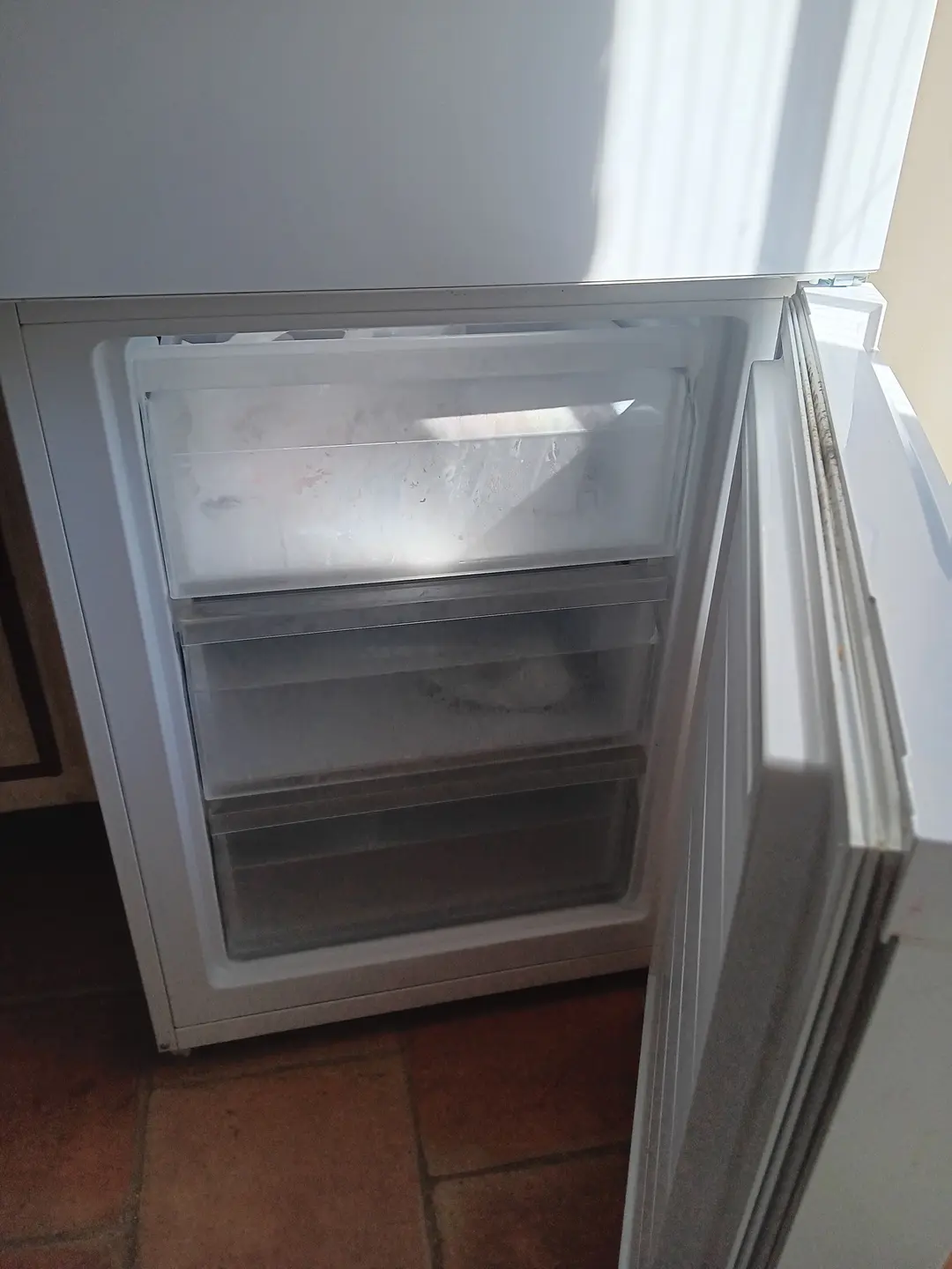 Frigo 
