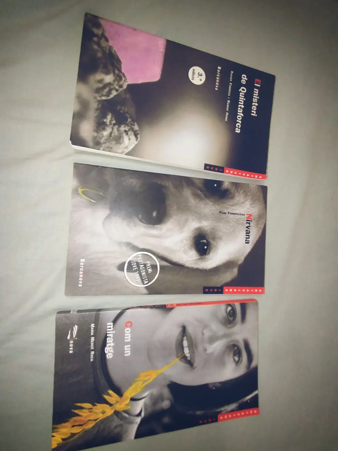 Llibres :Com un miratge,Nirvana, El misteri de Quimtaforca (Antaviana jove) 