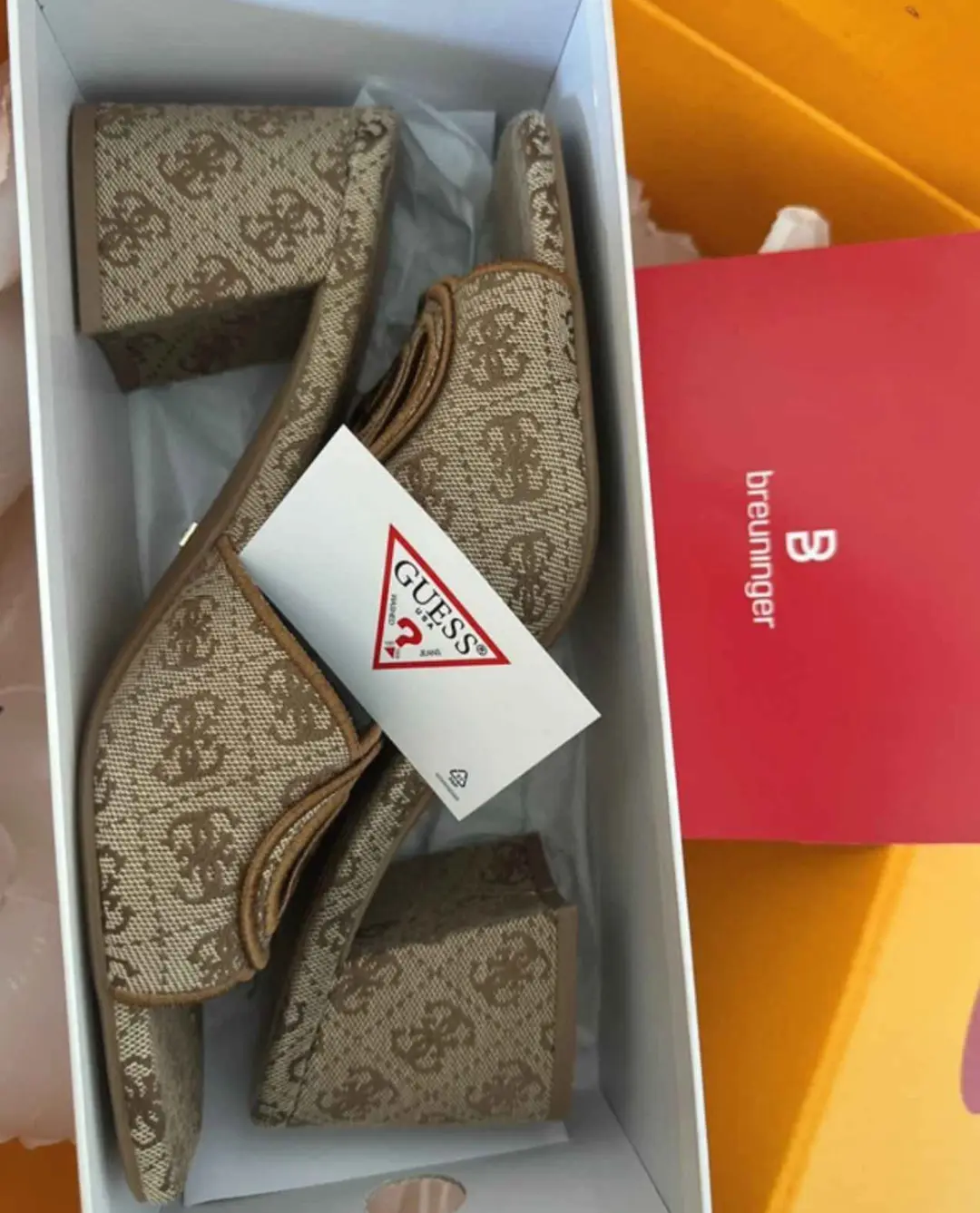 Chaussure Guest 