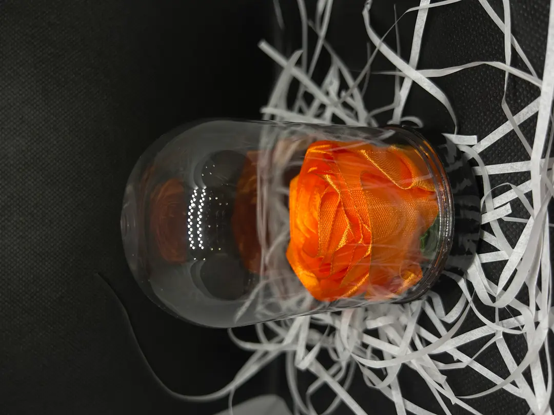 Roses eternes en coup de plastique 