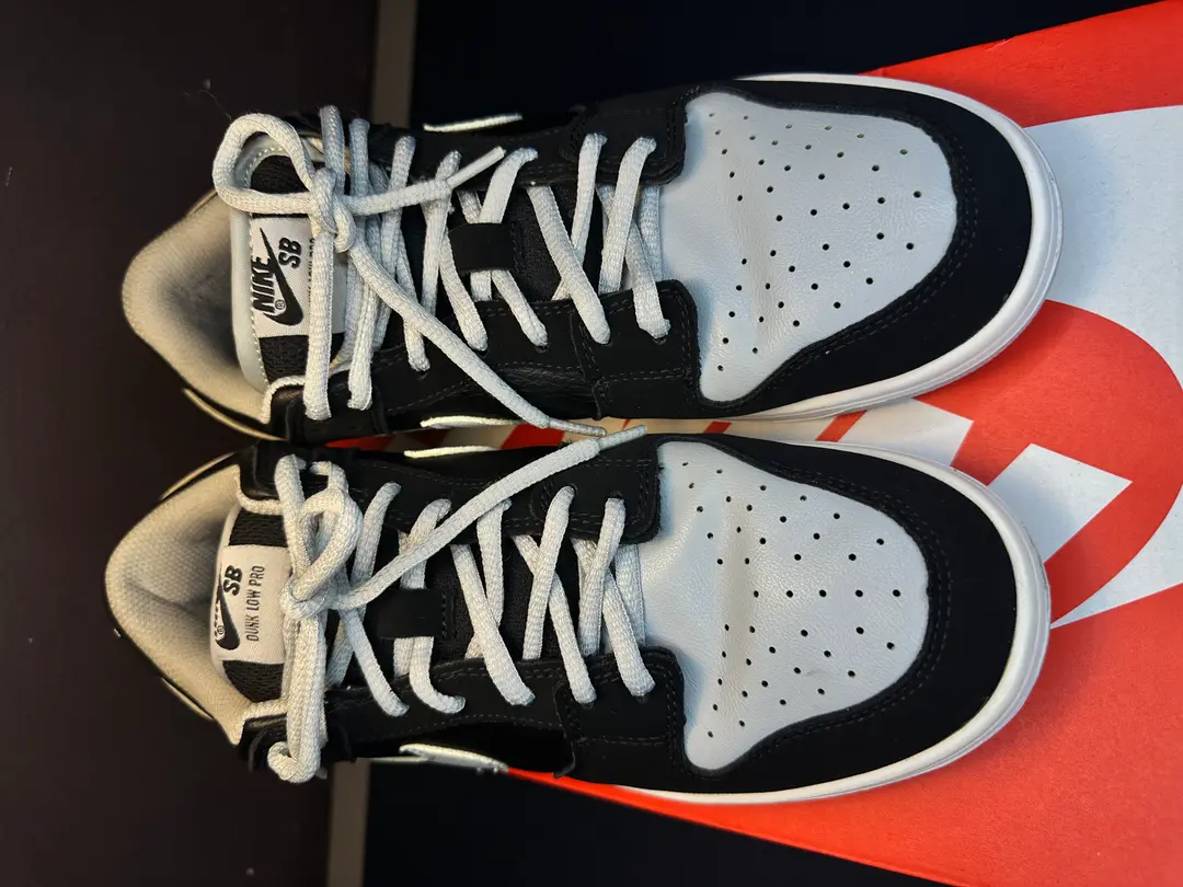 Nike Dunk Low SB black and white trainers 