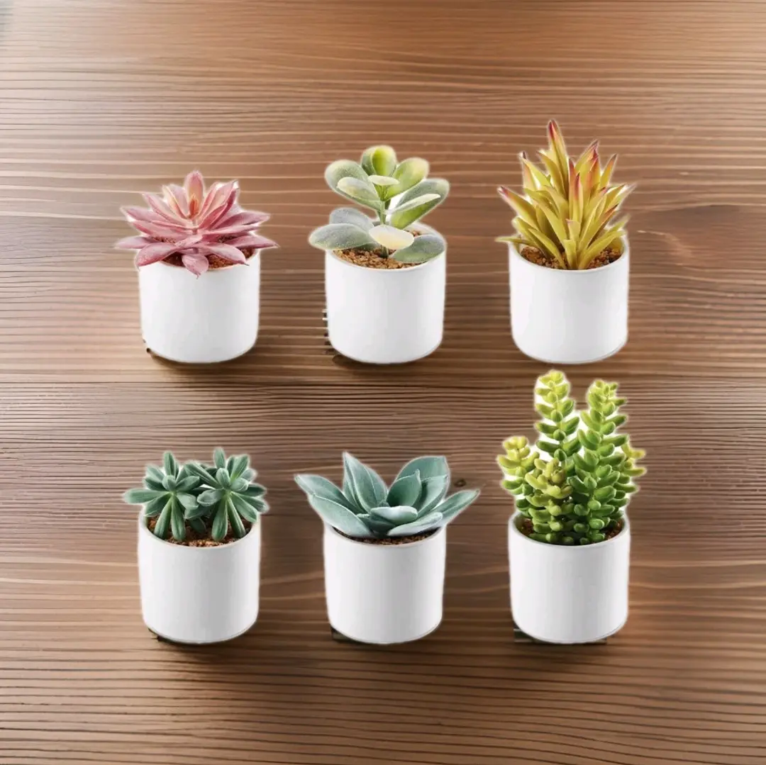 Artificial Succulent Plants Set with White Ceramic Pots. 6 Set
