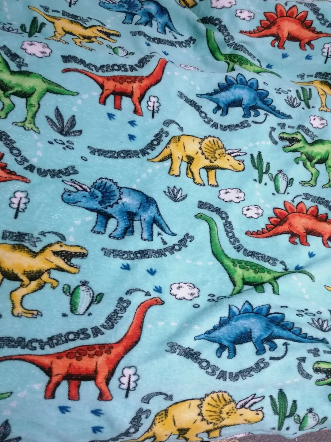 Roarsome Dinosaur Blanket