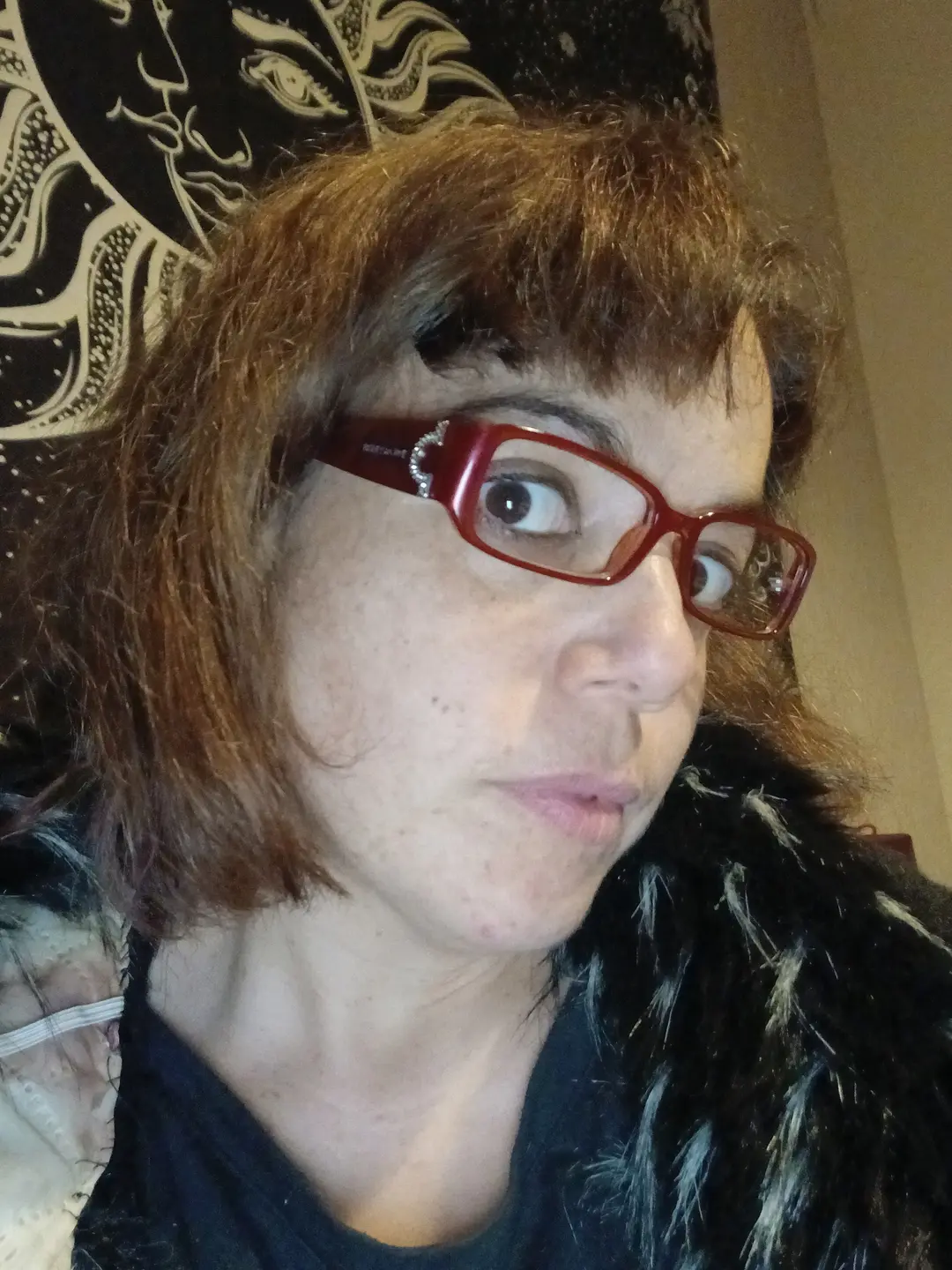 Lunettes bvlgari modèle 4006B