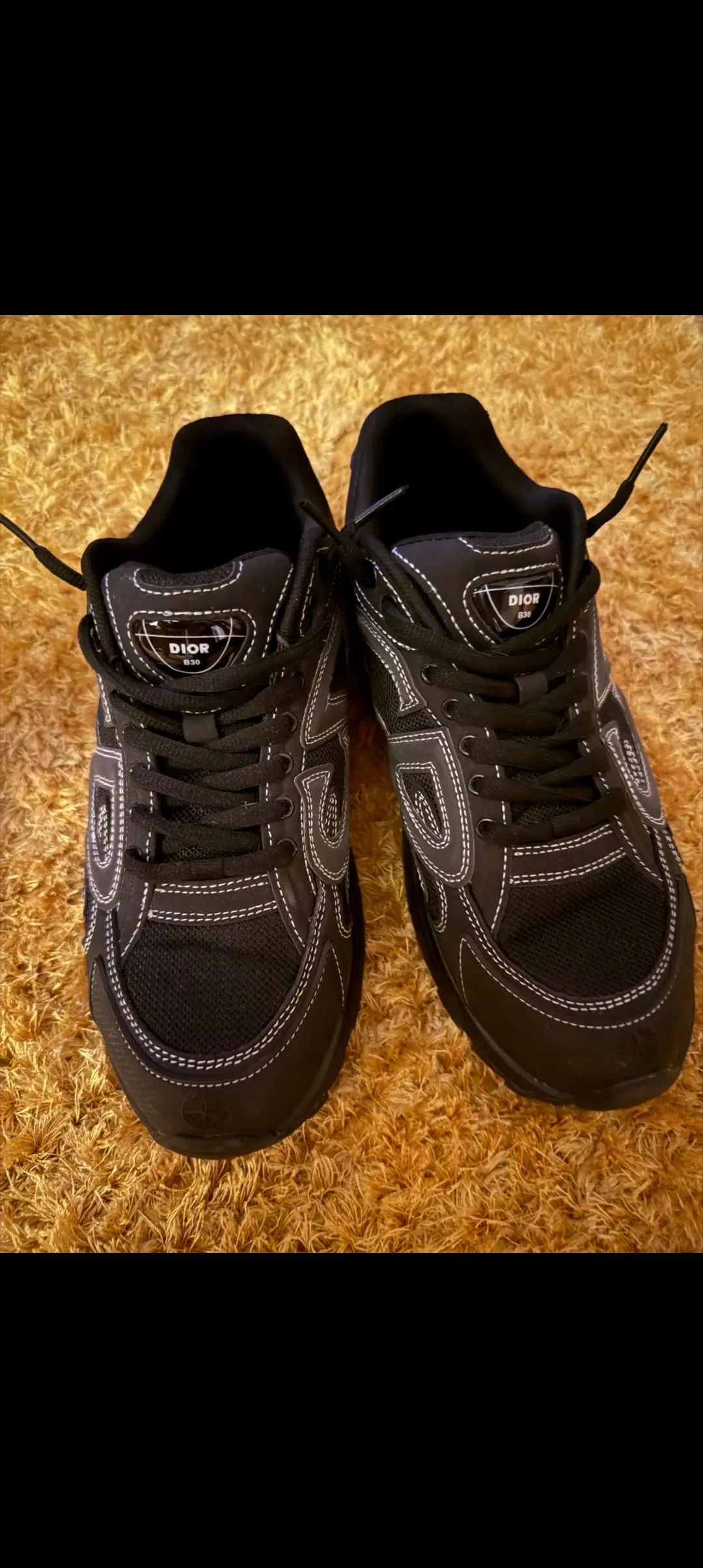 Dior b30 x stone island